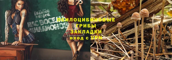 mdpv Верхний Тагил