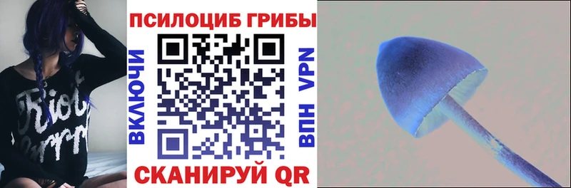 ссылка на мегу ONION  Керчь  Галлюциногенные грибы Cubensis 